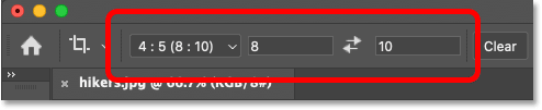 The previous Crop Tool settings in the Options Bar in Photoshop