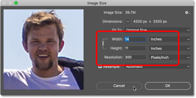 Confirming the cropped image size in the Image Size dialog box in Photoshop