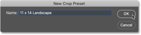 Naming the new custom preset for the Crop Tool