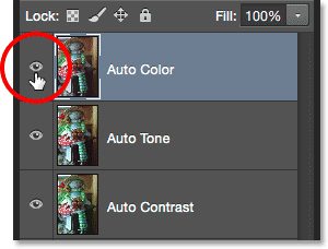 The image after applying the Auto Color command. Image © 2015 Photoshop Essentials.com