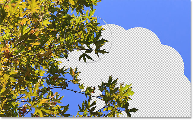 The Background Eraser in Photoshop with the Once sampling option selected. 