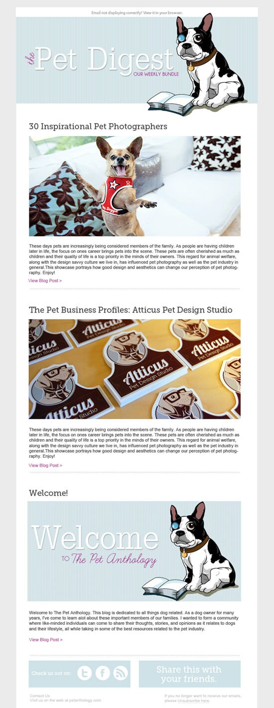 design-email-newsletter-template-final-example