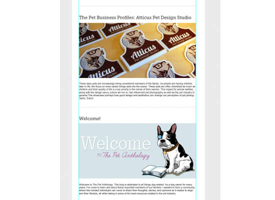 design-email-newsletter-template-5-using-guides