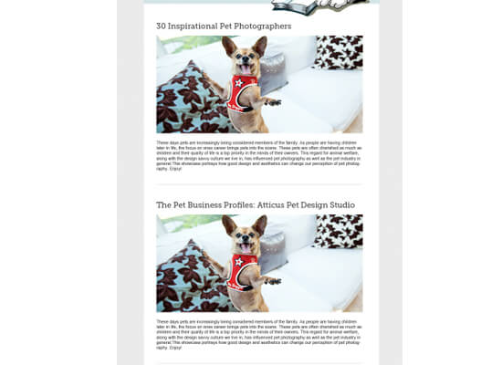 design-email-newsletter-template-5-duplicate